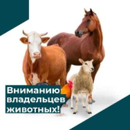 Общие правила содержания (биологическая безопасность)