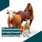 Памятка по содержанию домашних сельскохозяйственных животных