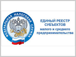 Единый реестр субъектов МСП обновлен по данным за 2024 год. Что делать, если вас по какой-то причине не включили