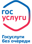 Госуслуги без очереди